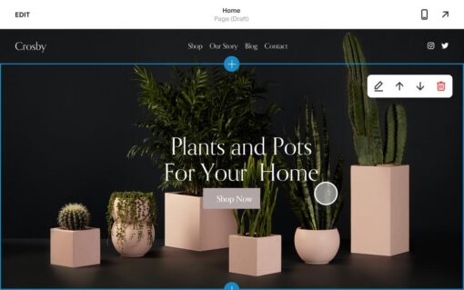 Web Design – Squarespace